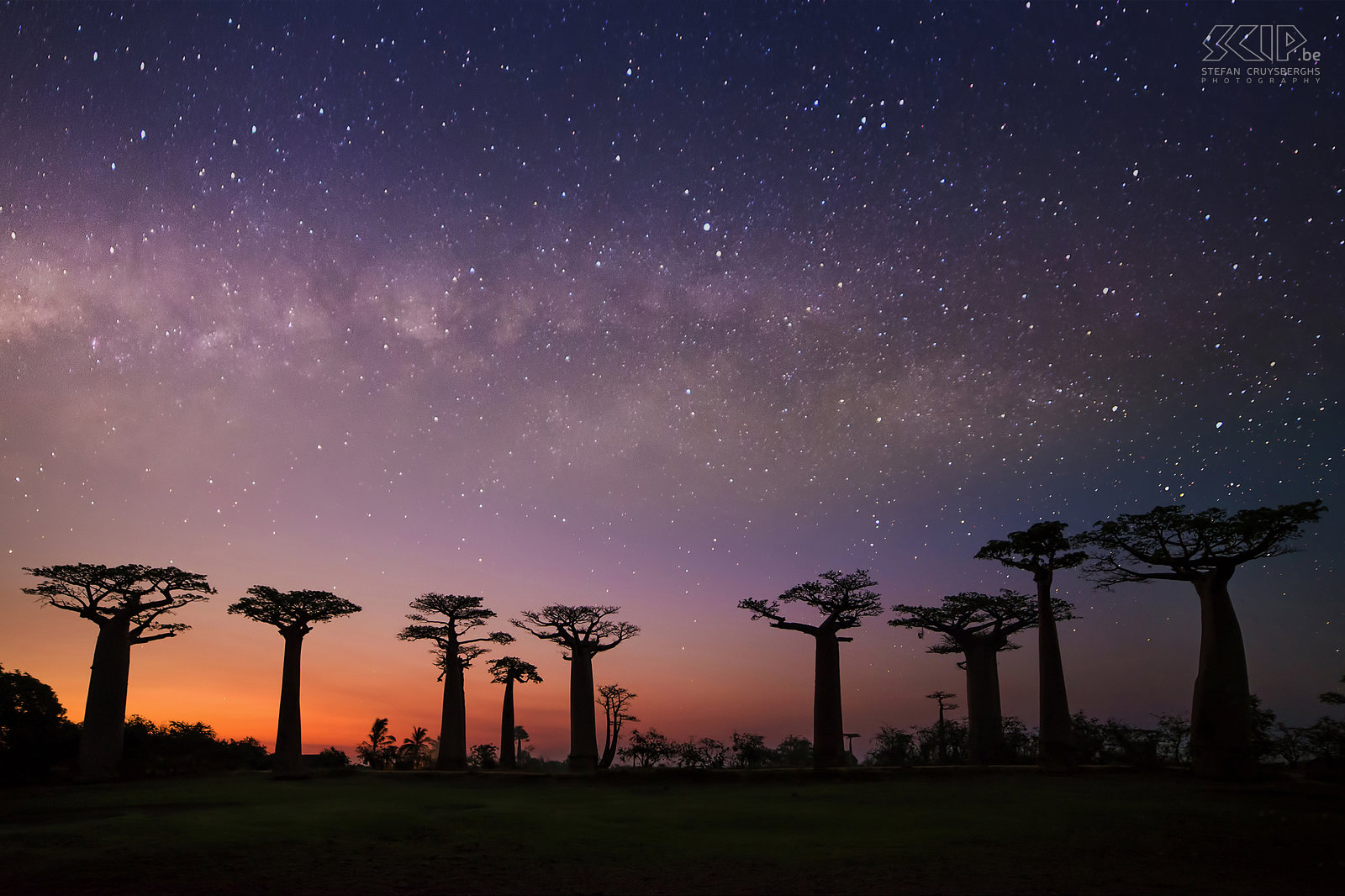 Melkweg boven de baobabs De baobablaan werd al gefotografeerd door talloze fotografen, vooral bij zonsondergang. Ik ben echter na zonsondergang gebleven en ik maakte deze foto toen er nog oranje, roze en paarse kleuren aan de horizon zichtbaar waren en het toch donker genoeg was om de Melkweg duidelijk te zien. Stefan Cruysberghs